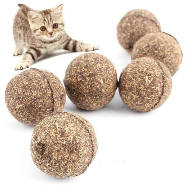 Arrival Cat Toy Natural Catnip Ball Menthol Flavor - Premium Toys from Maroon Daisy - Just $5.18! Shop now at PETGS