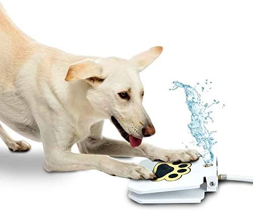 Automatic Outdoor Dog Water Fountain - Premium  from PETGS - Just $47.99! Shop now at PETGS