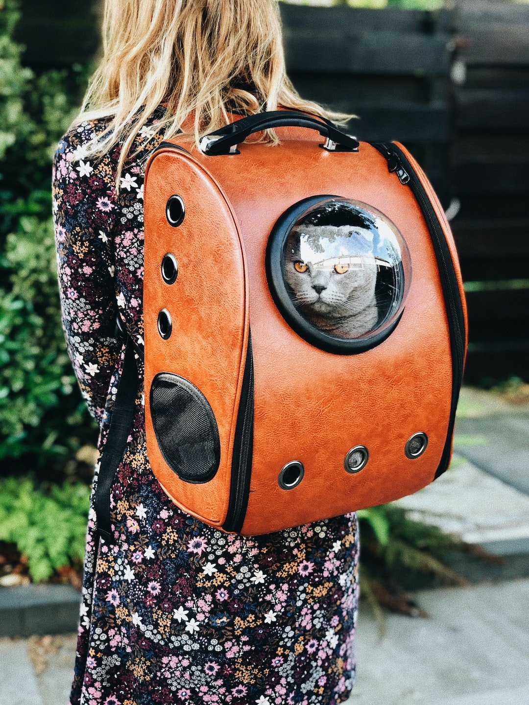 Tips for Traveling with Your Pet - PETPOY