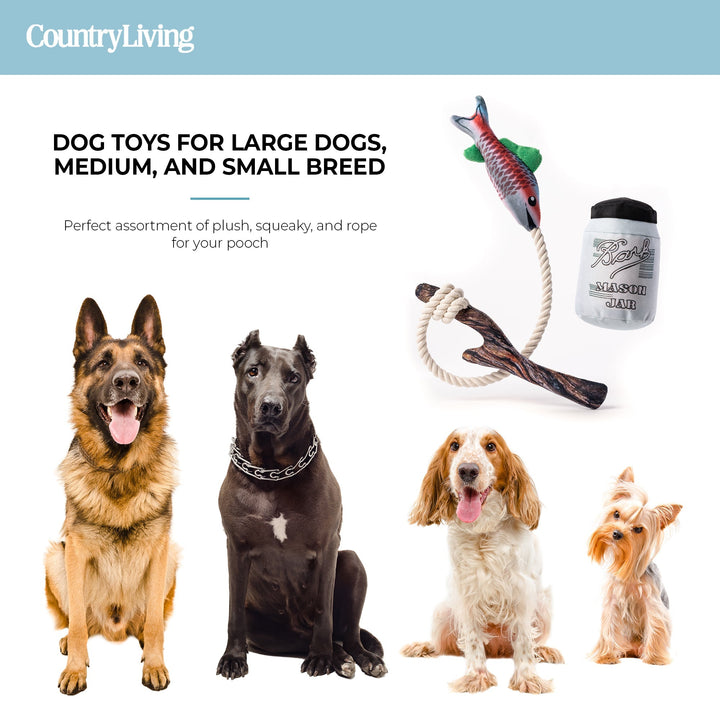 Fish & Mason Jar Dog Toys 2 Pack - Premium Pets from Copper Nesoi - Just $15.46! Shop now at PETGS