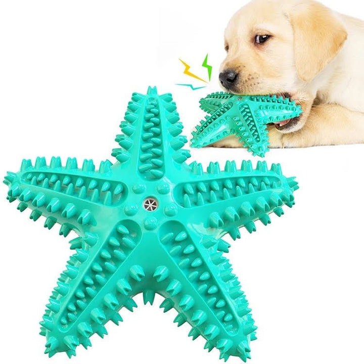 3 Pack Squeaky Toothbrush & Cotton Rope Ball Dog Toys - Premium Toys from Teal Zeus - Just $29.02! Shop now at PETGS