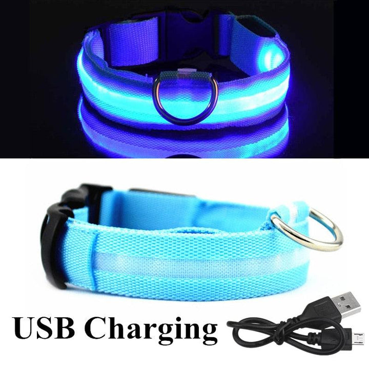 Adjustable LED Glowing Pet Collar - PETGS.com