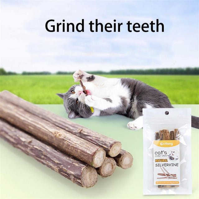 5pcs Pet Cat Chew Stick Clean Kitty Teeth Chewing - Premium Toys from Plum Coco - Just $6.41! Shop now at PETGS