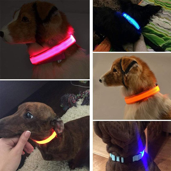 LED Glowing Pet Collar
