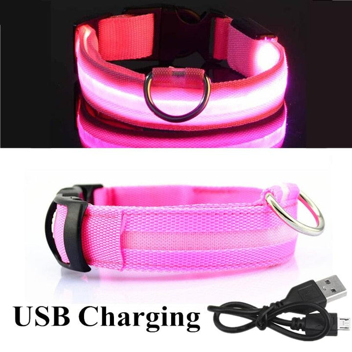 Adjustable LED Glowing Pet Collar - PETGS.com