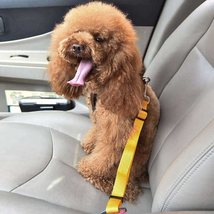 Adjustable Dog Cat Car Safety Belt - PETGS
