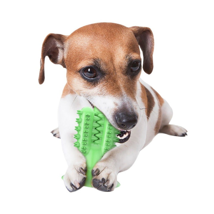 Cactus Dog Toothbrush - Premium  from PETGS - Just $19.59! Shop now at PETGS