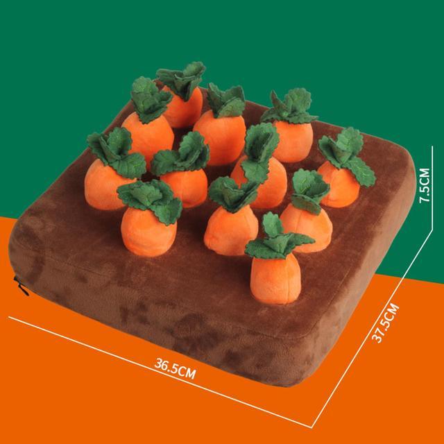 Carrot Plush Toy - PETGS