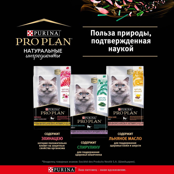 Cat Dry Food Pro - PETGS