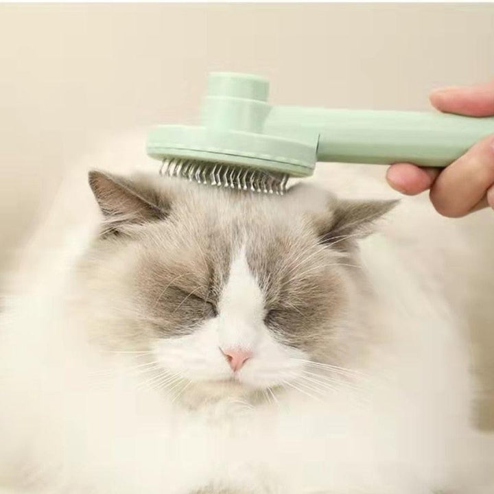 Cat Grooming Brush - PETGS