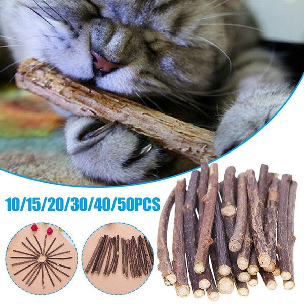 Cat Teeth Sticks - PETGS