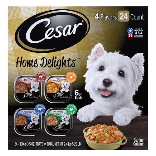 Cesar Filets In Gravy Prime Rib Flavor Wet Dog Food - Premium Petcare from Scarlet Themis - Just $53.30! Shop now at PETGS