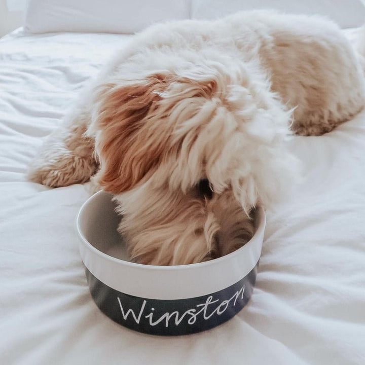 Chalkboard Ceramic Dog Bowl - Premium  from PETGS - Just $31.99! Shop now at PETGS