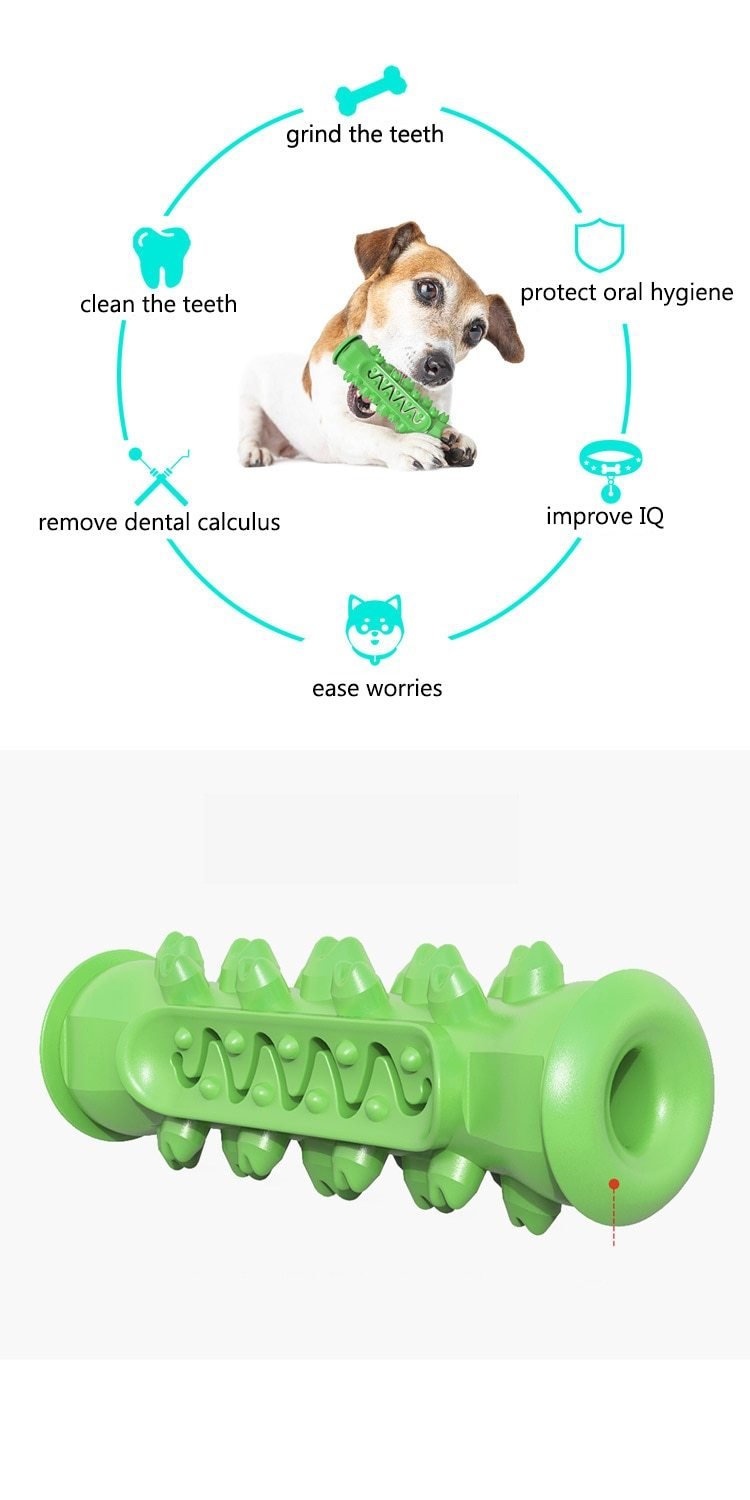 Chewing Toy for Dogs - PETGS