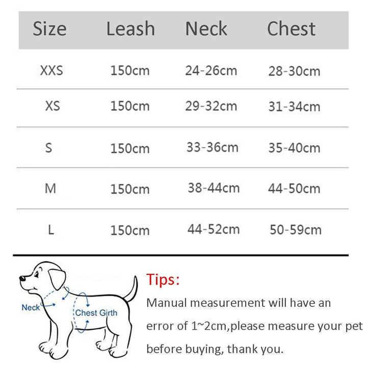 Dog Harness Leash Set for Small Dogs - PETGS
