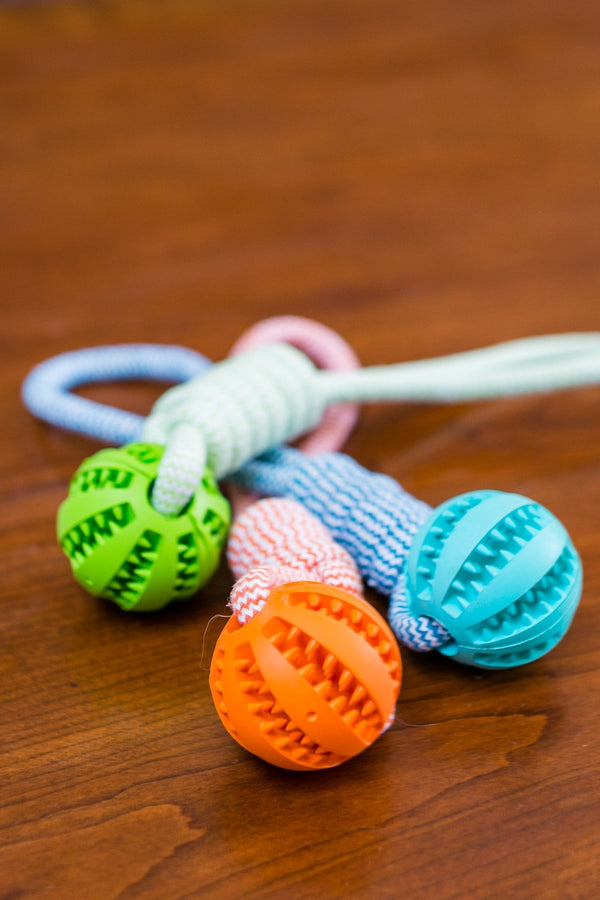 Durable Rubber Ball Chew Toy with Cotton Rope - Premium Toys from Teal Zeus - Just $13.18! Shop now at PETGS