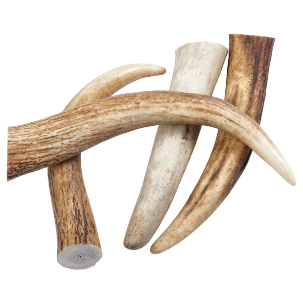Elk Antler Tips Dog Chews - Premium Pets from Ultramarine Daisy - Just $32.72! Shop now at PETGS