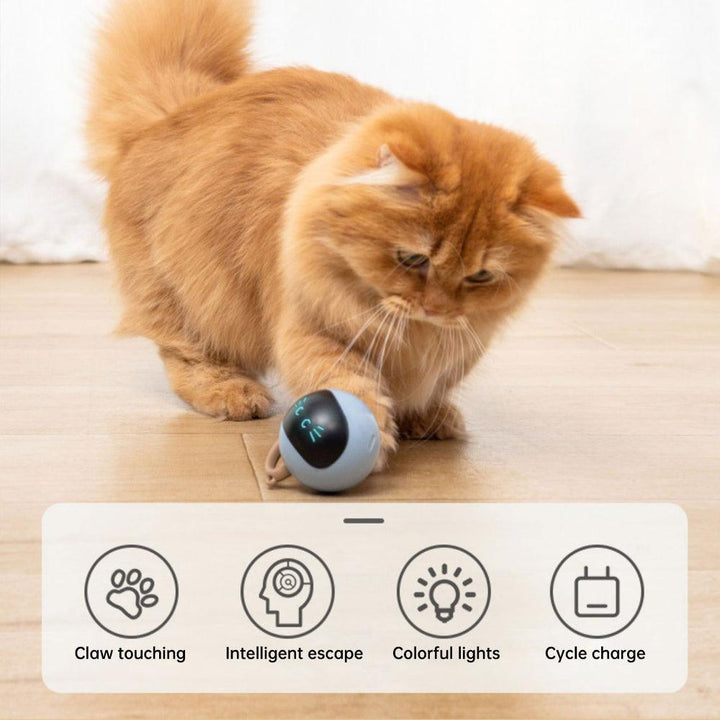 Kitten Electronic Ball - PETGS