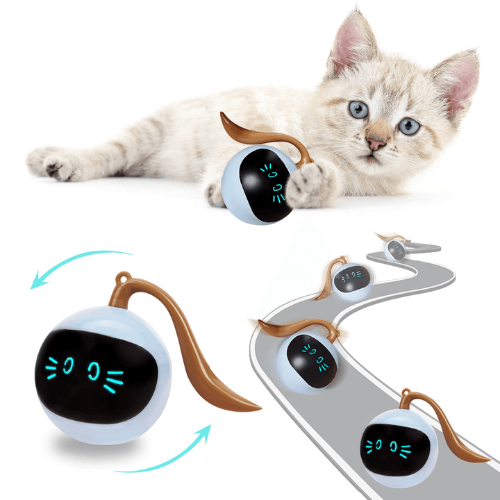 Kitten Electronic Ball - PETGS