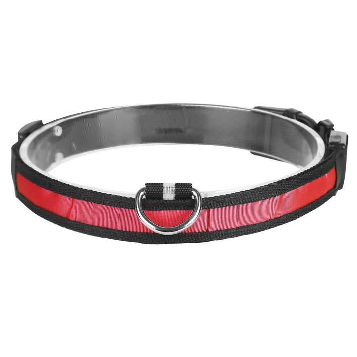 LED Dog Collar USB Rechargeable Adjustable Dog Safety Collar Night - Premium Leashes, Collars & Petwear from Maroon Simba - Just $14.83! Shop now at PETGS