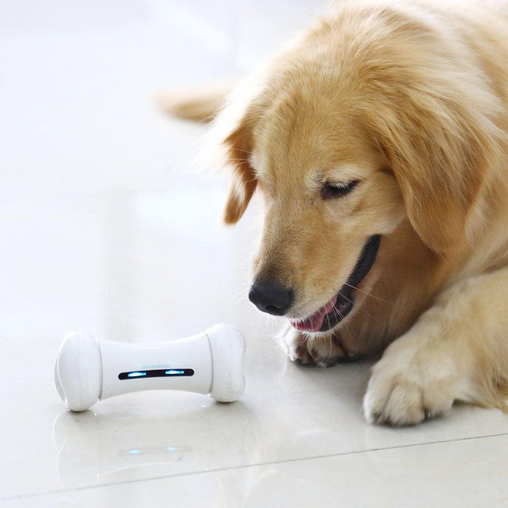 Pet Induction Interactive Toy - PETGS