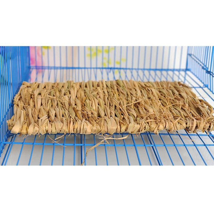 Rabbit Grass Mat Handmade Small Animal Hamster - Premium Pets from Green Hyperion - Just $6.16! Shop now at PETGS