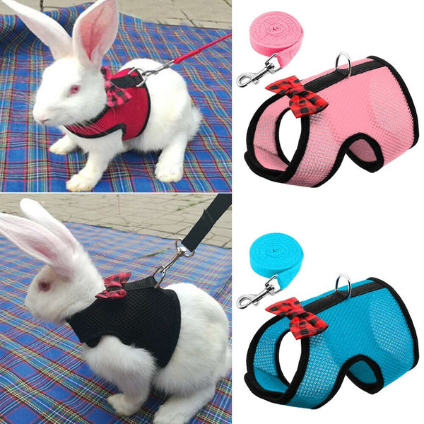 Rabbit Hamster Harness Mesh Dog Cat kitten Puppy - Premium Pets from Cyan Ganymede - Just $12.26! Shop now at PETGS