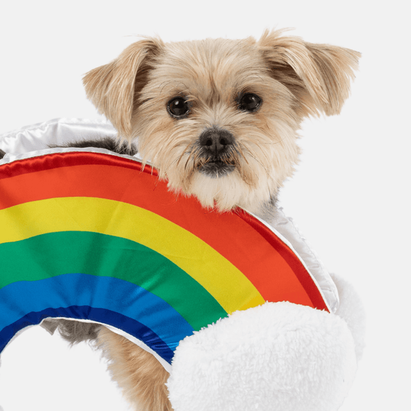 Rainbow Dog Costume - Premium Pets from Copper Nesoi - Just $20.22! Shop now at PETGS