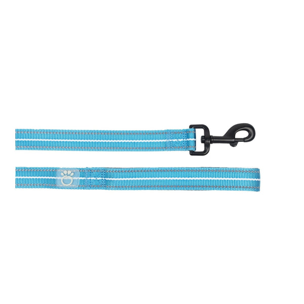 Reflective Leash - Neon Blue - Premium Leashes, Collars & Petwear from Beige Antigone - Just $14.58! Shop now at PETGS