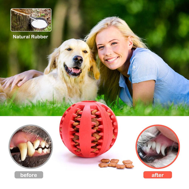 Rubber Balls Chewing Pet Toys - PETGS