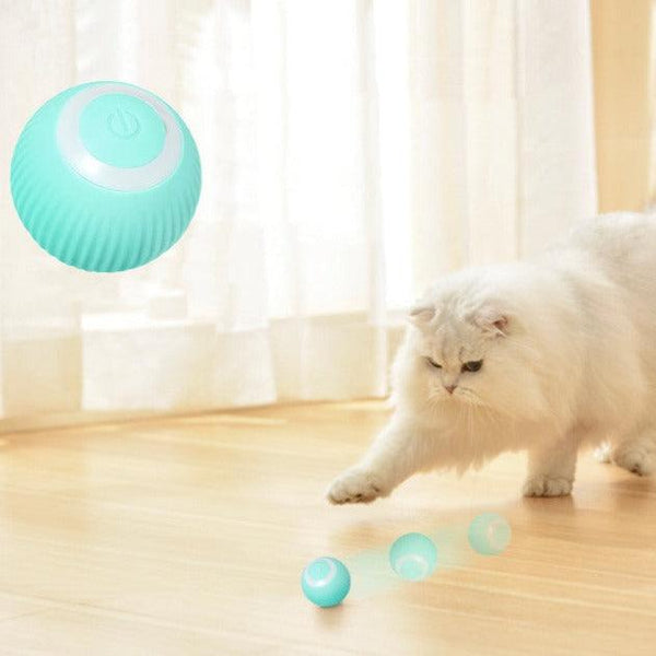 Smart Cat Ball Toys - PETGS
