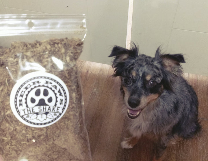 The Shake Food Topper for Dogs - Premium Pets from Kimberlite - Just $10.72! Shop now at PETGS