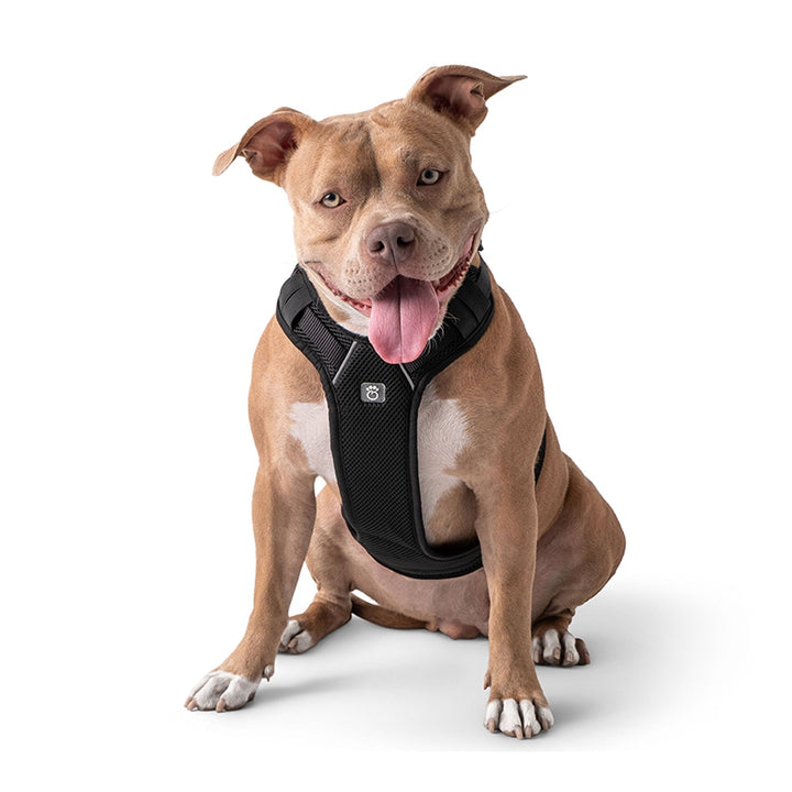 Travel Harness - Black - Premium Leashes, Collars & Petwear from Beige Antigone - Just $26.16! Shop now at PETGS