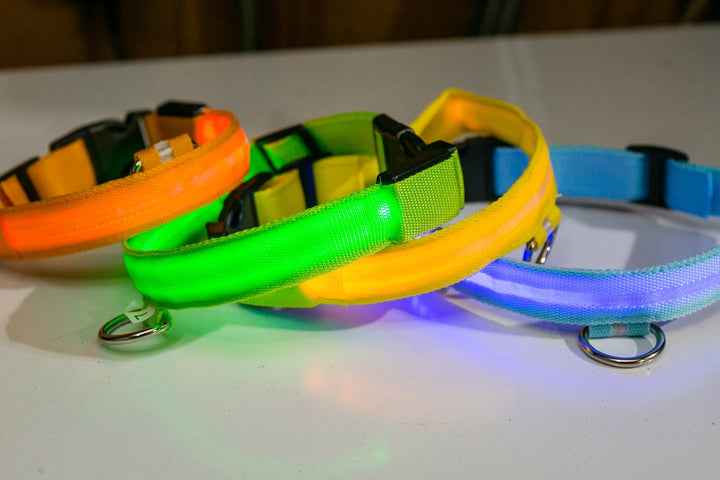 USB RECHARGEABLE LED PET DOG COLLAR - Premium Leashes, Collars & Petwear from Teal Zeus - Just $11.42! Shop now at PETGS