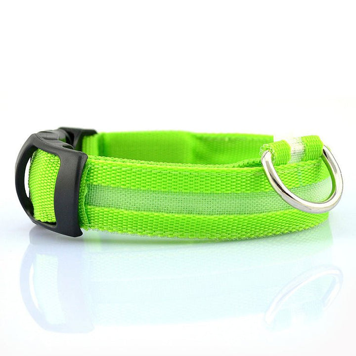 USB RECHARGEABLE LED PET DOG COLLAR - Premium Leashes, Collars & Petwear from Teal Zeus - Just $11.42! Shop now at PETGS